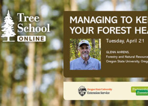 Tree School Online